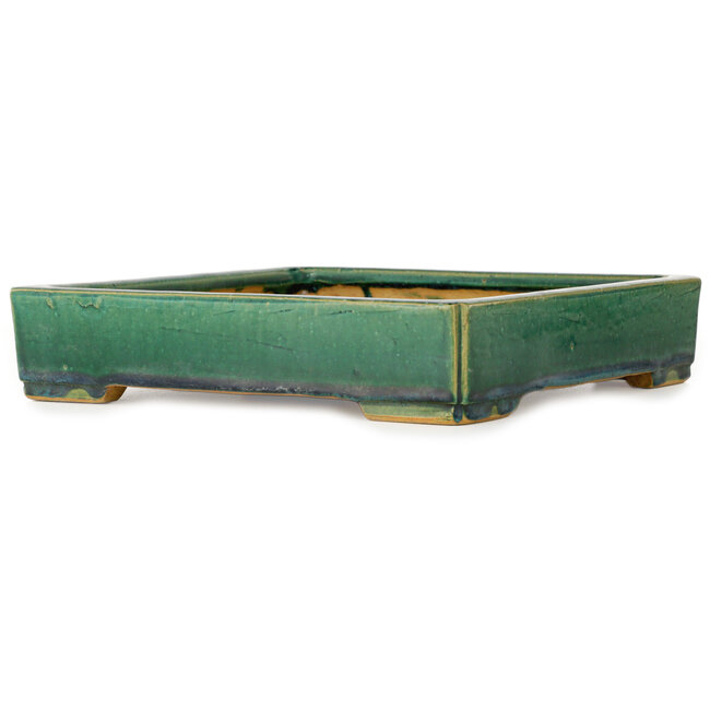 Maceta cuadrada verde para bonsái de Shuhou - 280 x 280 x 57 mm