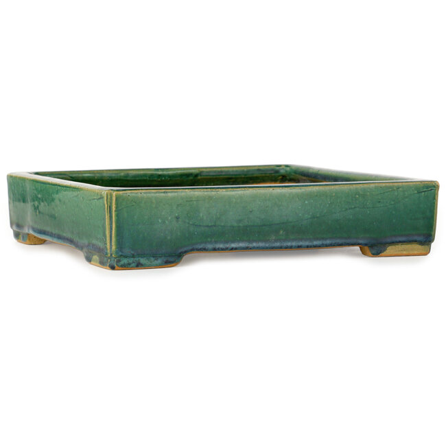 Square green bonsai pot by Shuhou - 280 x 280 x 57 mm