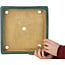 Maceta cuadrada verde para bonsái de Shuhou - 280 x 280 x 57 mm