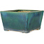 Maceta cuadrada verde para bonsái de Aiba Koyou - 257 x 257 x 147 mm