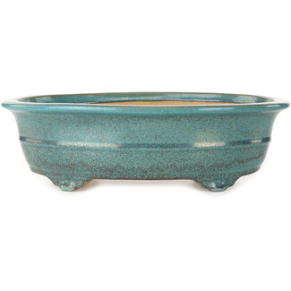 Seizan (Reihou, Kataoka Katsushi, master Seizan kiln) Vaso bonsai verde ovale da 353 mm di Seizan (Reihou, Kataoka Katsushi, forno maestro Seizan), Tokoname, Giappone