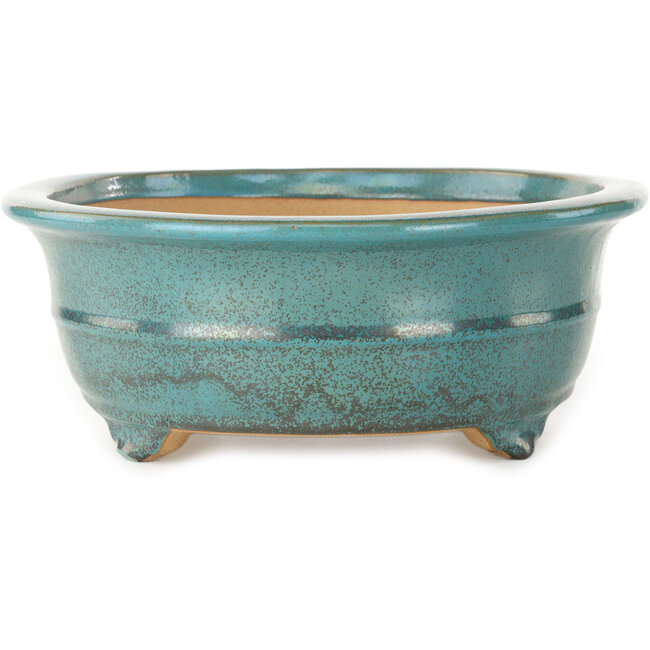 Oval green bonsai pot by Seizan (Reihou, Kataoka Katsushi, master Seizan kiln) - 353 x 270 x 105 mm