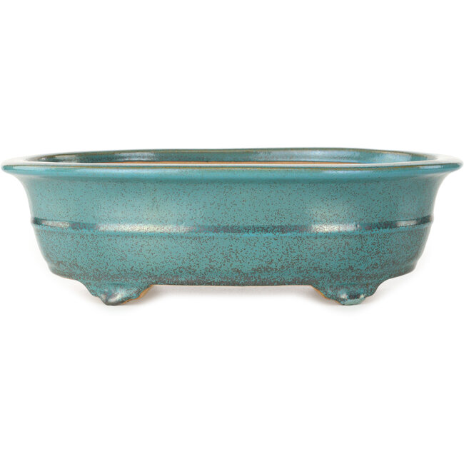 Oval green bonsai pot by Seizan (Reihou, Kataoka Katsushi, master Seizan kiln) - 353 x 270 x 105 mm