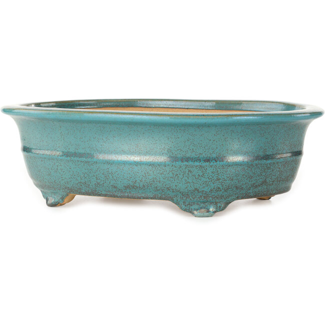 Oval green bonsai pot by Seizan (Reihou, Kataoka Katsushi, master Seizan kiln) - 353 x 270 x 105 mm