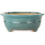 Oval green bonsai pot by Seizan (Reihou, Kataoka Katsushi, master Seizan kiln) - 353 x 270 x 105 mm