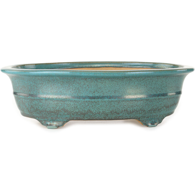 Oval green bonsai pot by Seizan (Reihou, Kataoka Katsushi, master Seizan kiln) - 353 x 270 x 105 mm