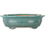 Oval green bonsai pot by Seizan (Reihou, Kataoka Katsushi, master Seizan kiln) - 353 x 270 x 105 mm
