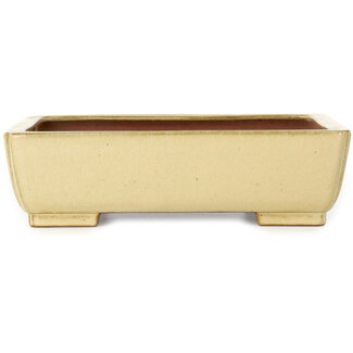 Seizan (Reihou, Kataoka Katsushi, master Seizan kiln) Vaso bonsai rettangolare bianco sporco da 255 mm di Seizan (Reihou, Kataoka Katsushi, master Seizan kiln), Tokoname, Giappone