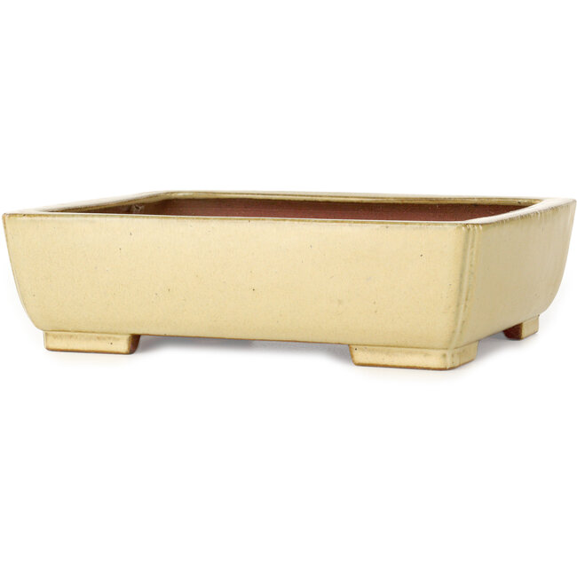 Pot à bonsaï rectangulaire blanc cassé par Seizan (Reihou, Kataoka Katsushi, maître four Seizan) - 255 x 195 x 72 mm