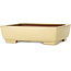 Maceta rectangular para bonsái de color blanquecino de Seizan (Reihou, Kataoka Katsushi, maestro del horno Seizan) - 255 x 195 x 72 mm