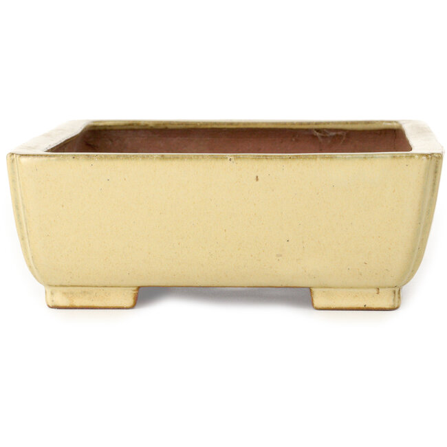 Vaso bonsai rettangolare bianco sporco di Seizan (Reihou, Kataoka Katsushi, forno del maestro Seizan) - 255 x 195 x 72 mm