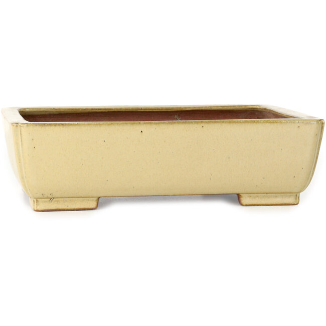 Rectangular off-white bonsai pot by Seizan (Reihou, Kataoka Katsushi, master Seizan kiln) - 255 x 195 x 72 mm