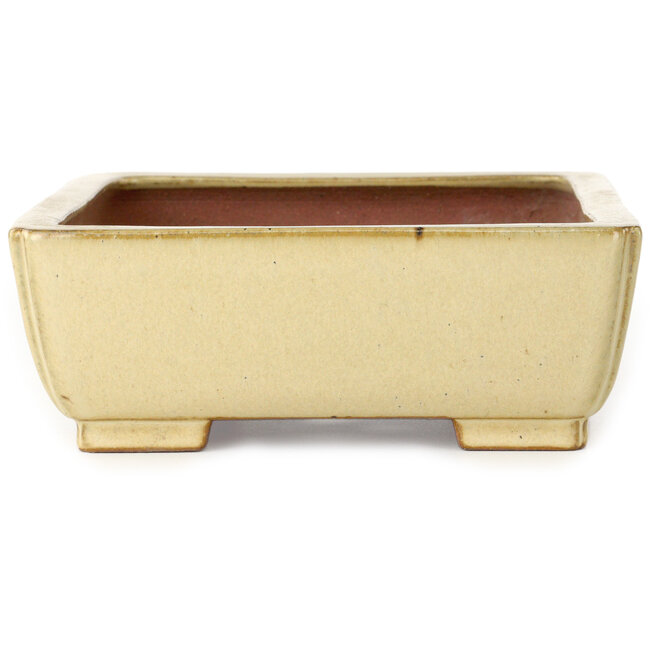 Pot à bonsaï rectangulaire blanc cassé par Seizan (Reihou, Kataoka Katsushi, maître four Seizan) - 255 x 195 x 72 mm