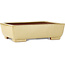 Rectangular off-white bonsai pot by Seizan (Reihou, Kataoka Katsushi, master Seizan kiln) - 255 x 195 x 72 mm