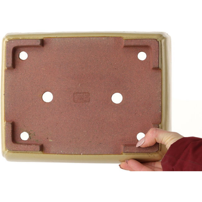 Maceta rectangular para bonsái de color blanquecino de Seizan (Reihou, Kataoka Katsushi, maestro del horno Seizan) - 255 x 195 x 72 mm