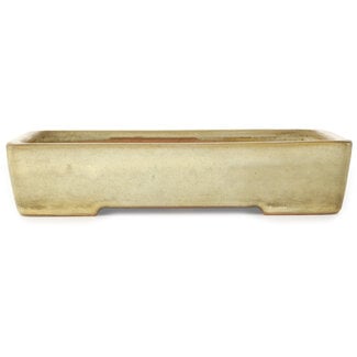  Yamafusa - Takehiko Koie Pot à bonsaï rectangulaire blanc cassé de 287 mm, de la marque Yamafusa, Tokoname, Japon