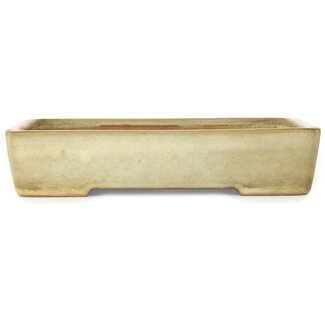  Yamafusa - Takehiko Koie Rechthoekige, gebroken witte bonsaipot van 287 mm van Yamafusa, Tokoname, Japan
