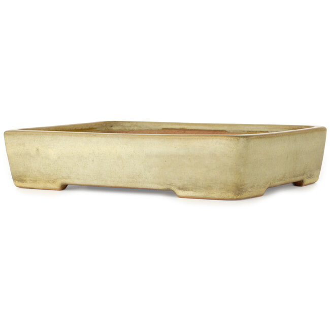 Rectangular off-white bonsai pot by Yamafusa - 287 x 218 x 60 mm