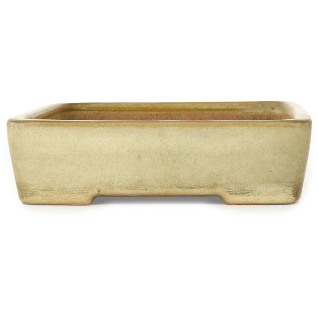 Rectangular off-white bonsai pot by Yamafusa - 287 x 218 x 60 mm