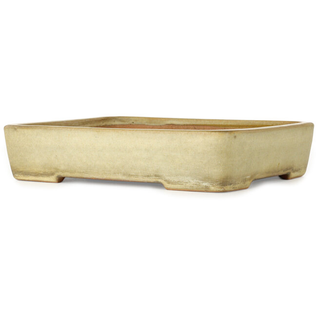 Rechthoekige, gebroken witte bonsaipot van Yamafusa - 287 x 218 x 60 mm