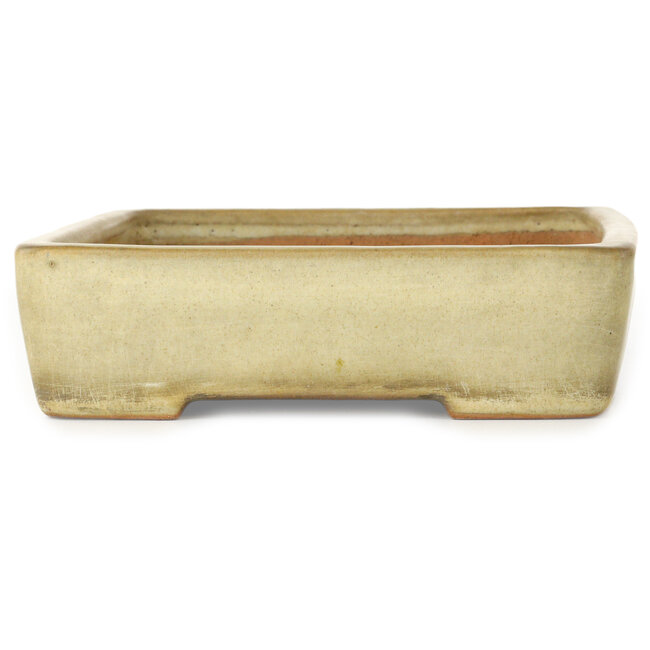 Rectangular off-white bonsai pot by Yamafusa - 287 x 218 x 60 mm