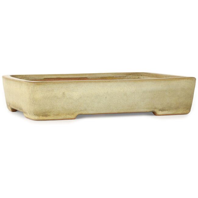Pot à bonsaï rectangulaire blanc cassé de Yamafusa - 287 x 218 x 60 mm