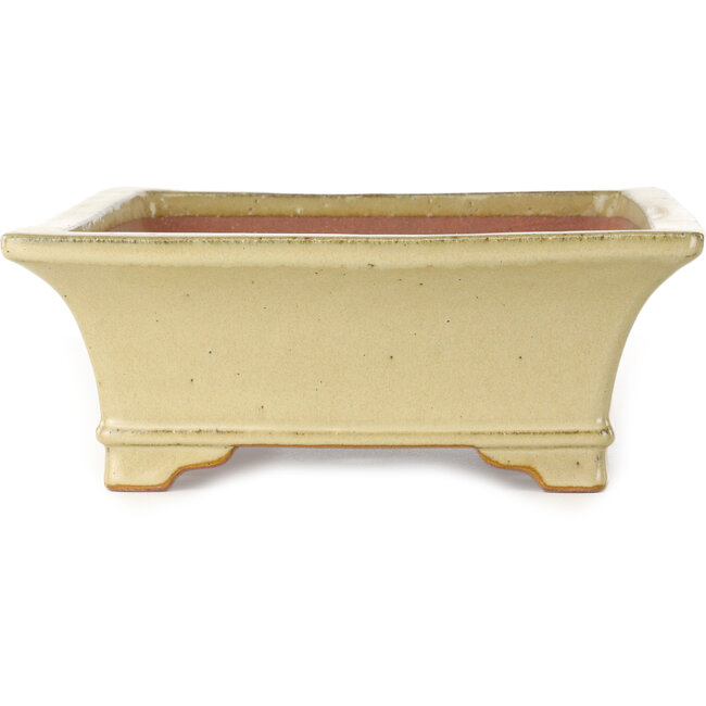 Rectangular off-white bonsai pot by Seizan (Reihou, Kataoka Katsushi, master Seizan kiln) - 377 x 285 x 105 mm
