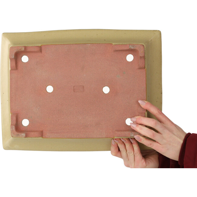 Maceta rectangular para bonsái de color blanquecino de Seizan (Reihou, Kataoka Katsushi, maestro del horno Seizan) - 377 x 285 x 105 mm