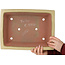 Maceta rectangular para bonsái de color blanquecino de Seizan (Reihou, Kataoka Katsushi, maestro del horno Seizan) - 377 x 285 x 105 mm