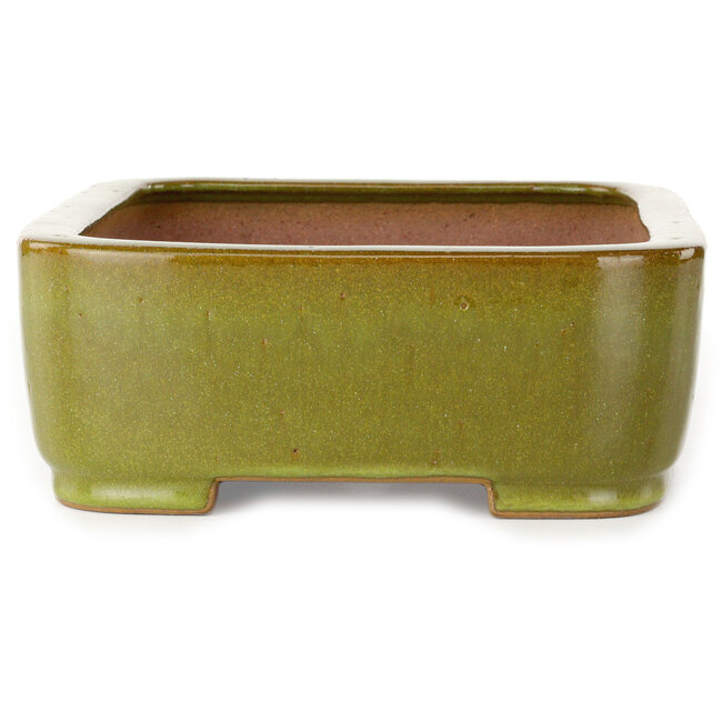 Vaso bonsai rettangolare verde lime di Seizan (Reihou, Kataoka Katsushi, forno del maestro Seizan) - 317 x 230 x 87 mm