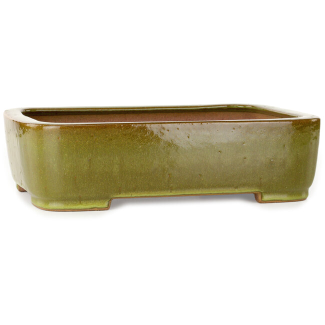 Pot à bonsaï rectangulaire vert citron par Seizan (Reihou, Kataoka Katsushi, maître four Seizan) - 317 x 230 x 87 mm