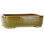 Rectangular lime green bonsai pot by Seizan (Reihou, Kataoka Katsushi, master Seizan kiln) - 317 x 230 x 87 mm