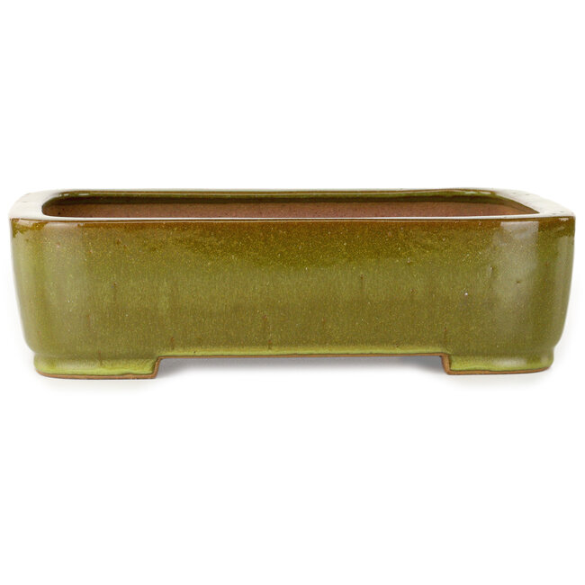 Pot à bonsaï rectangulaire vert citron par Seizan (Reihou, Kataoka Katsushi, maître four Seizan) - 317 x 230 x 87 mm