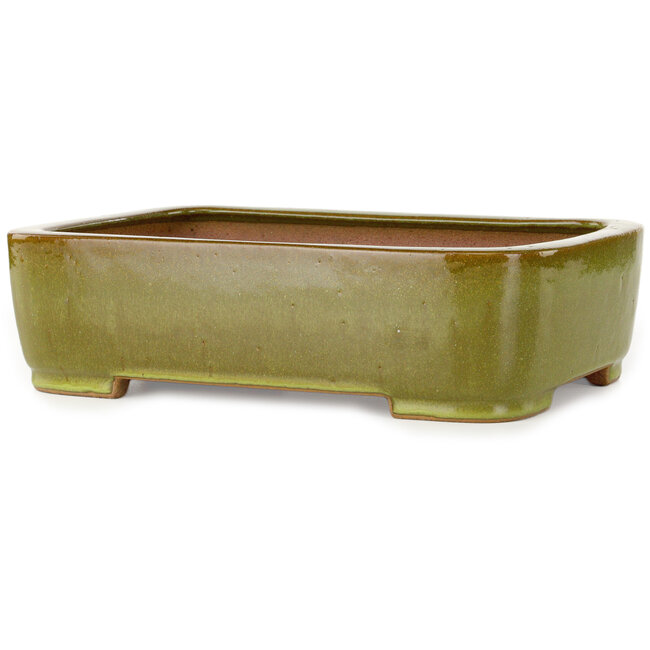 Oval yellow bonsai pot by Seizan (Reihou, Kataoka Katsushi, master Seizan kiln) - 317 x 230 x 87 mm