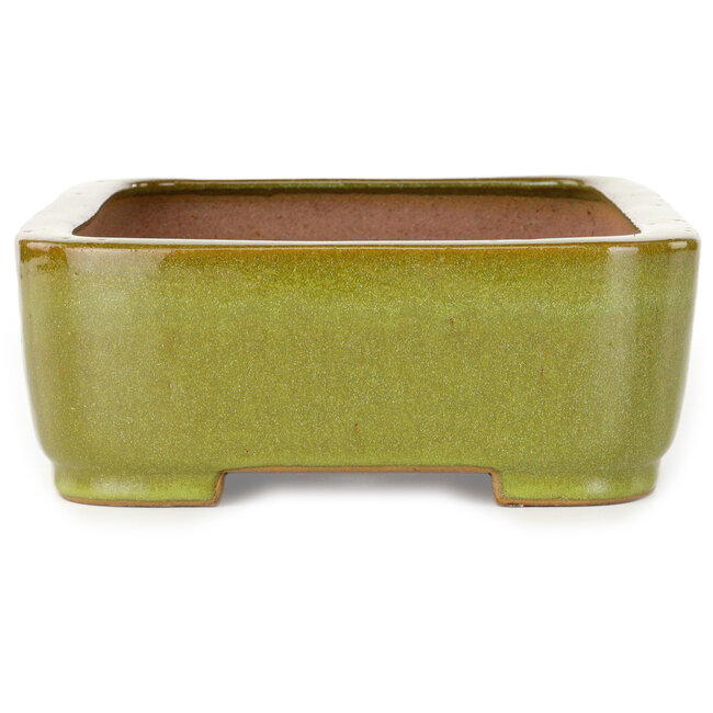 Rectangular lime green bonsai pot by Seizan (Reihou, Kataoka Katsushi, master Seizan kiln) - 317 x 230 x 87 mm