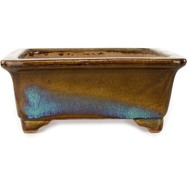 Maceta rectangular para bonsái marrón y azul de Gyouzan - 342 x 288 x 115 mm