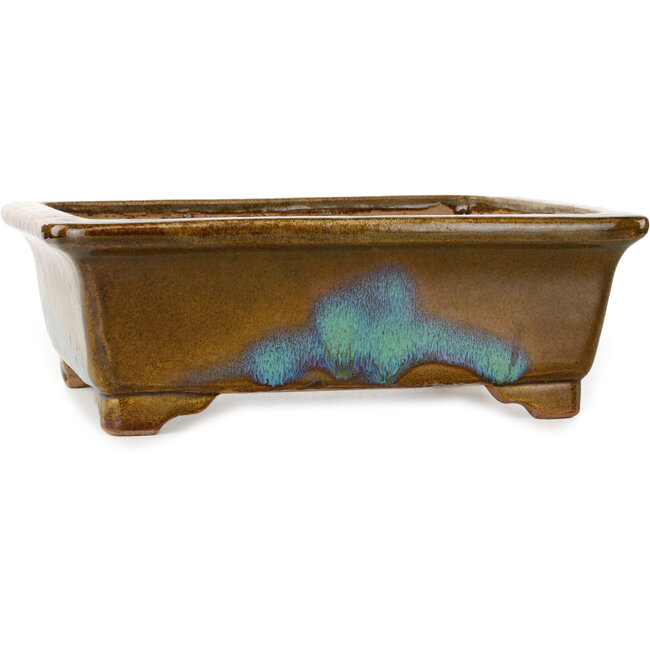 Pot à bonsaï rectangulaire brun et bleu de Gyouzan - 342 x 288 x 115 mm