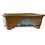 Vaso bonsai rettangolare marrone e blu di Gyouzan - 342 x 288 x 115 mm