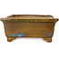 Rectangular brown and blue bonsai pot by Gyouzan - 342 x 288 x 115 mm