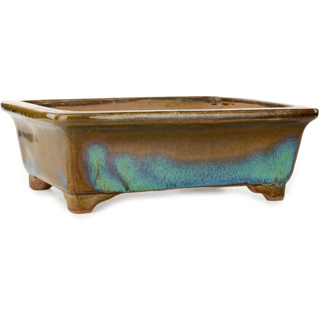 Pot à bonsaï rectangulaire brun et bleu de Gyouzan - 342 x 288 x 115 mm