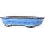 Maceta ovalada para bonsái azul oscuro de Shuhou - 335 x 255 x 65 mm