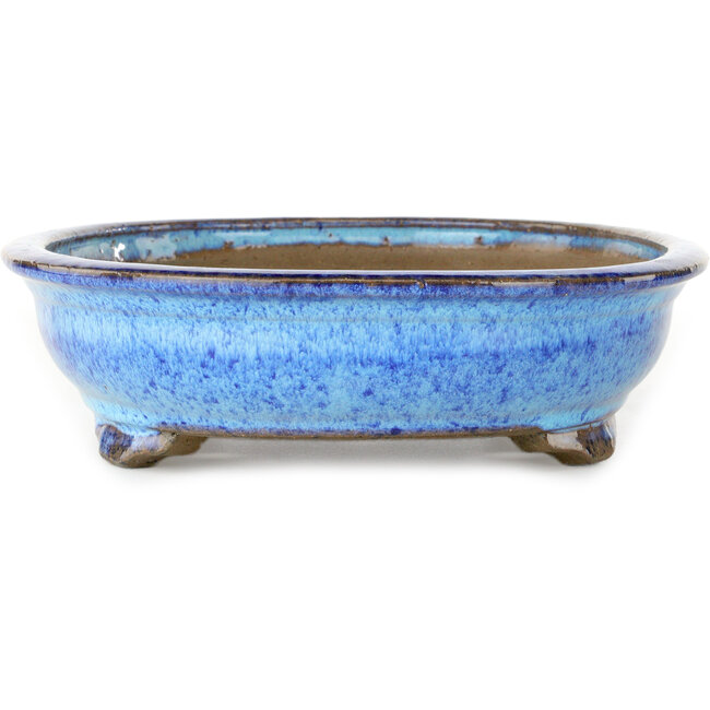 Maceta ovalada para bonsái azul oscuro de Shuhou - 335 x 255 x 65 mm