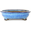 Pot à bonsaï ovale bleu foncé de Shuhou - 335 x 255 x 65 mm