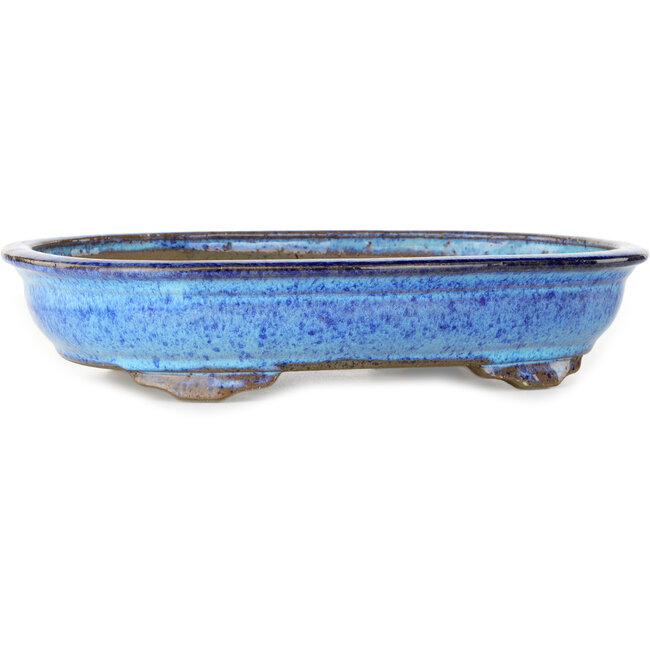 Oval dark blue bonsai pot by Shuhou - 335 x 255 x 65 mm