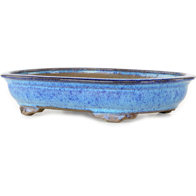 Maceta ovalada para bonsái azul oscuro de Shuhou - 335 x 255 x 65 mm