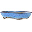 Oval dark blue bonsai pot by Shuhou - 335 x 255 x 65 mm