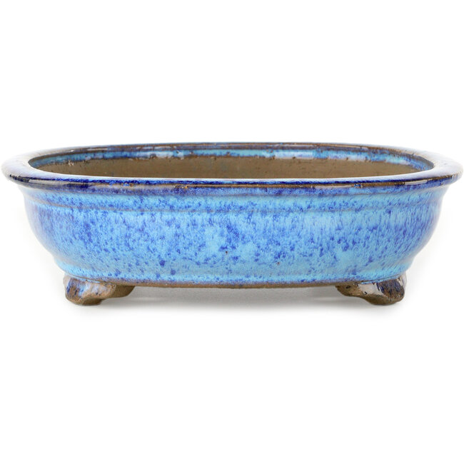 Maceta ovalada para bonsái azul oscuro de Shuhou - 335 x 255 x 65 mm