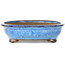 Vaso bonsai ovale blu scuro di Shuhou - 335 x 255 x 65 mm