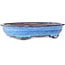Maceta ovalada para bonsái azul oscuro de Shuhou - 335 x 255 x 65 mm