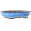 Oval dark blue bonsai pot by Shuhou - 335 x 255 x 65 mm